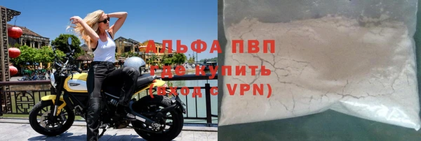 трава Корсаков