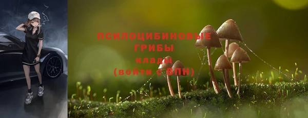 дживик Алзамай