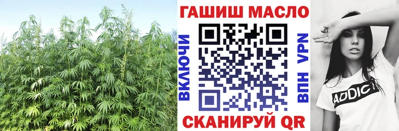 где продают   Сасово  ТГК THC oil 